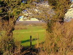 Catching a view on Highdown Hill Wallpaper