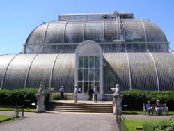 The Palm House Wallpaper