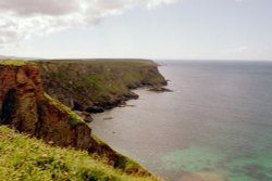 Coast near Portreath, July.  Cornwall. Wallpaper