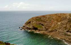 Coast near Portreath, July.  Cornwall. Wallpaper