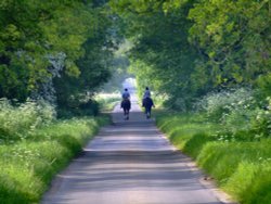 A gentle walk down a country lane, Bishop Burton, East Riding of Yorkshire