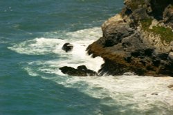 Coast nr Portreath, Cornwall. Wallpaper