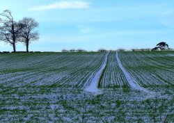 The field, Kirkham, North Yorkshire Wallpaper