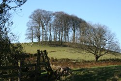 Doe Hill, Hurst Green, Lancashire. Wallpaper