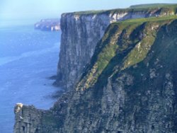 The cliffs at Bempton, East Riding of Yorkshire