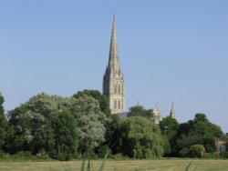 The elegant spire of the Cathedral rising above the trees of Harnham meadows Wallpaper