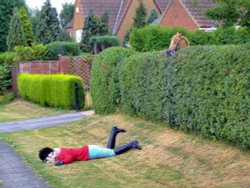 Who put that hedge there? Scarecrow Festival, Ellerker, East Riding of Yorkshire