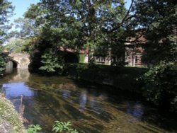 The River Avon flowing beneath Cranebridge Road, Salisbury,Wiltshire Wallpaper