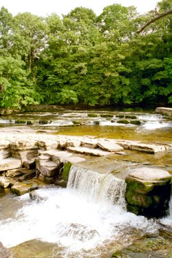 Richmond, North Yorks, River Swale.