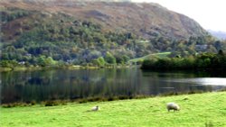 Grasmere in Autumn. Wallpaper