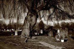 Crematorium at Elmers End, Beckenham, Kent