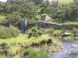 Dartmoor stream Wallpaper