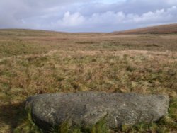 Ted Hughes, Dartmoor National Park Wallpaper