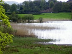 Coniston Water, Cumbria.Caplio RR30 Wallpaper