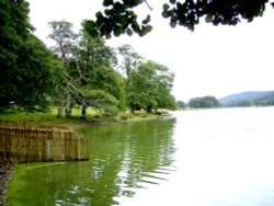 Esthwaite Water, near Hawkshead. Cumbria. Wallpaper