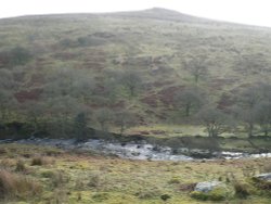 River Erme  on Dartmoor Wallpaper