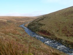 River Erme Dartmoor Wallpaper