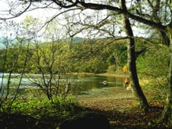 Coniston Water, Cumbria. Wallpaper