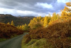 Autumn at Tarn Hows, Cumbria. Wallpaper