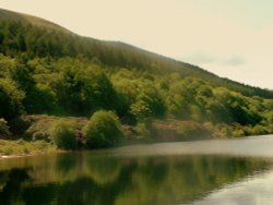 Reflections Brecon, Powys Wallpaper