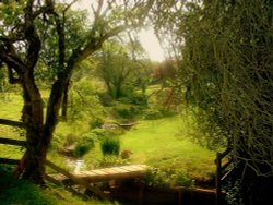 A Garden, Brecon, Powys Wallpaper