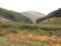 Dunsop Bridge, Lancashire. Wallpaper