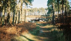 St. Cuthbert's Cave, Holy Island Wallpaper