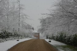 Hawkhurst, Kent Wallpaper