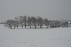 Seaford, East Sussex Wallpaper