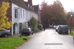 Salisbury street in autumn