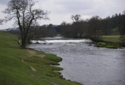 Chatsworth Park Wallpaper