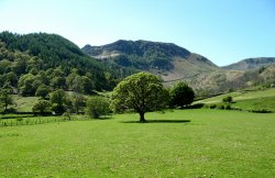 Glencoyne, Ullswater. Wallpaper