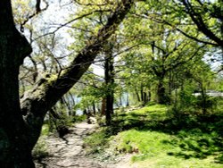 Ullswater west shore. Wallpaper