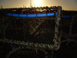 Sunrise over the lobster pots Wallpaper