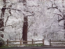 April snow, Sudbury, Greater London Wallpaper