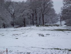 April snow, Sudbury, Greater London Wallpaper