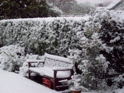 April snow, Sudbury, Greater London Wallpaper