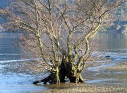 February on Ullswater. Wallpaper