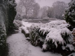 Pinner Memorial Park, Greater London Wallpaper