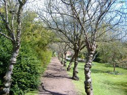 Highdown Gardens pathways Wallpaper