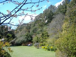 Highdown Gardens ideal for a bit of peace Wallpaper