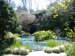 Highdown Gardens ponds Wallpaper