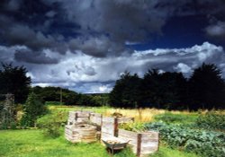 Weaveland Road allotments, Tisbury, Wiltshire Wallpaper