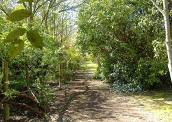 Endless footpaths within Highdown Gardens Wallpaper