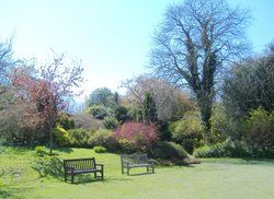 The Lawns, Highdown Gardens, West Sussex Wallpaper