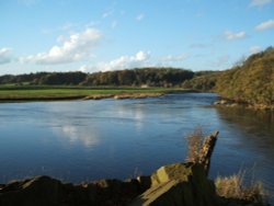 The River Ribble at Dinckley near Ribchester Wallpaper