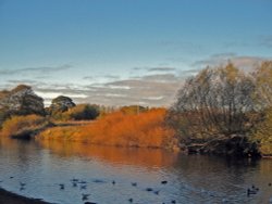 Evening at the Riverside, Chester-le-Street, Co Durham. Wallpaper