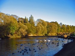 Evening at the Riverside, Chester-le-Street, Co Durham. Wallpaper