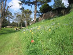 Wallingford Castle Gardens Wallpaper