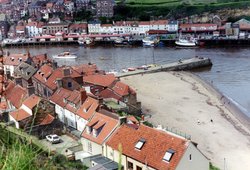 Red roofs Whitby Wallpaper